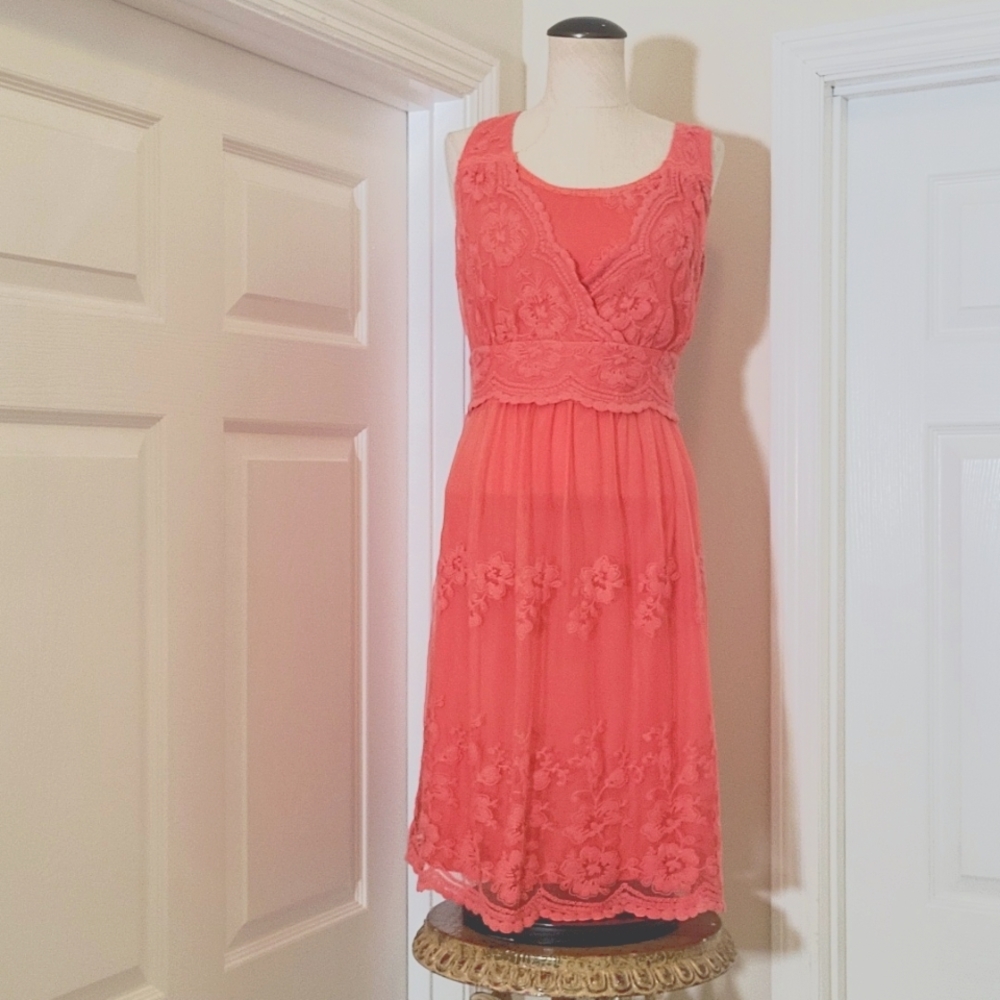 Rabbit Rabbit Rabbit Designs Pink midi dress size 12